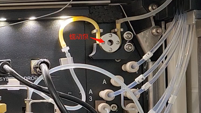 冲洗柱塞杆-仪器端